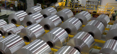 Shandong Hongxin International Trade Co., LTD. factory production line
